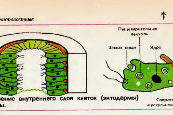 Как зайти на кракен с компа