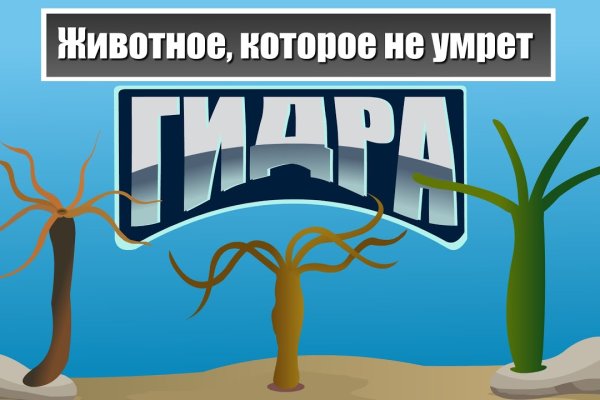 Кракен даркнет зеркало